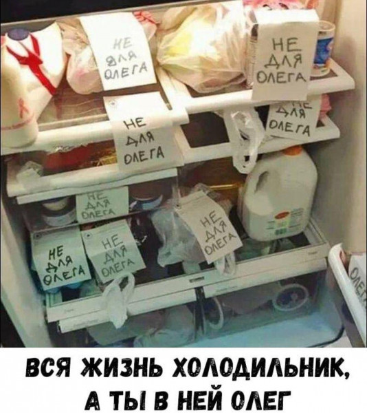 ���������� #2330248