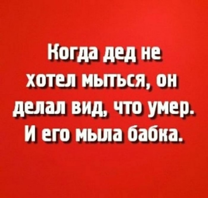 ���������� #2330249