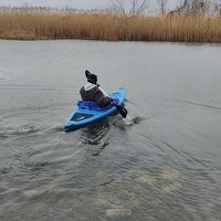���������� #2330281
