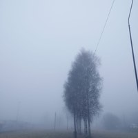 ���������� #2332188
