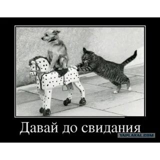 ���������� #2332303