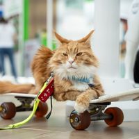 ���������� #2332669