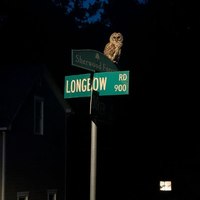���������� #2332852