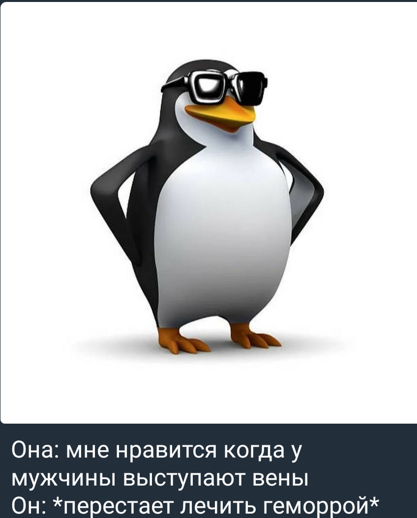���������� #2330380