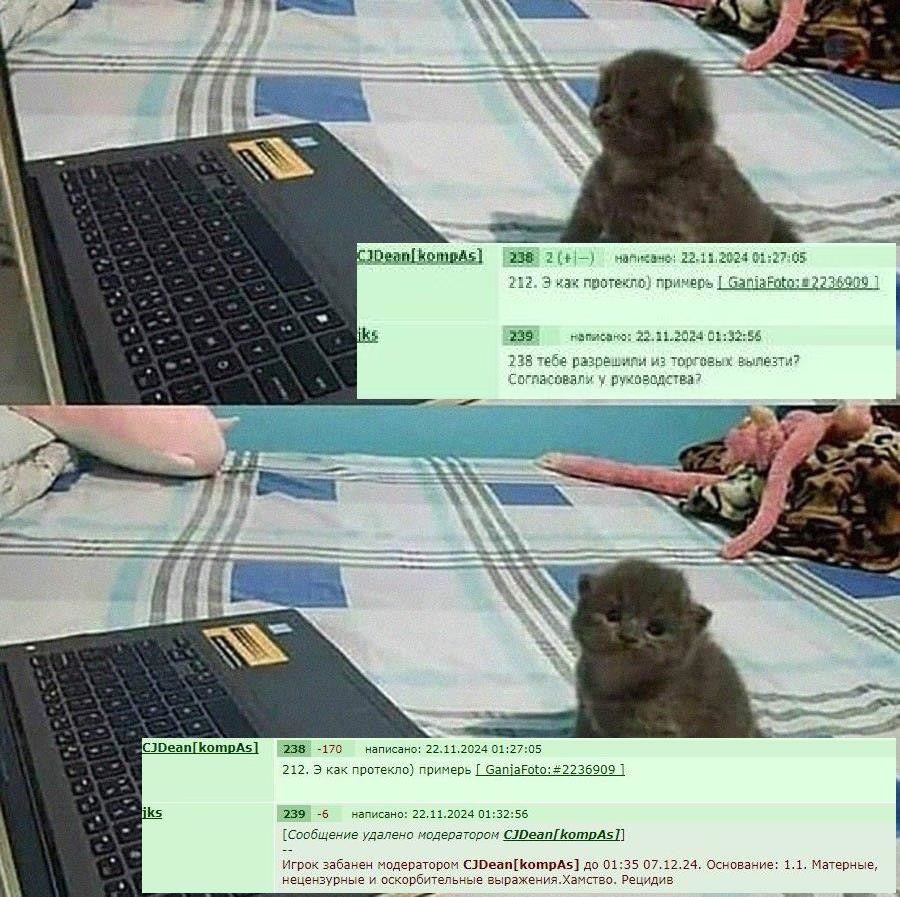 ���������� #2333177