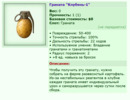 ��� 2025 (https://www.gwars.io/item.php?item_id=0105_potatofrag)