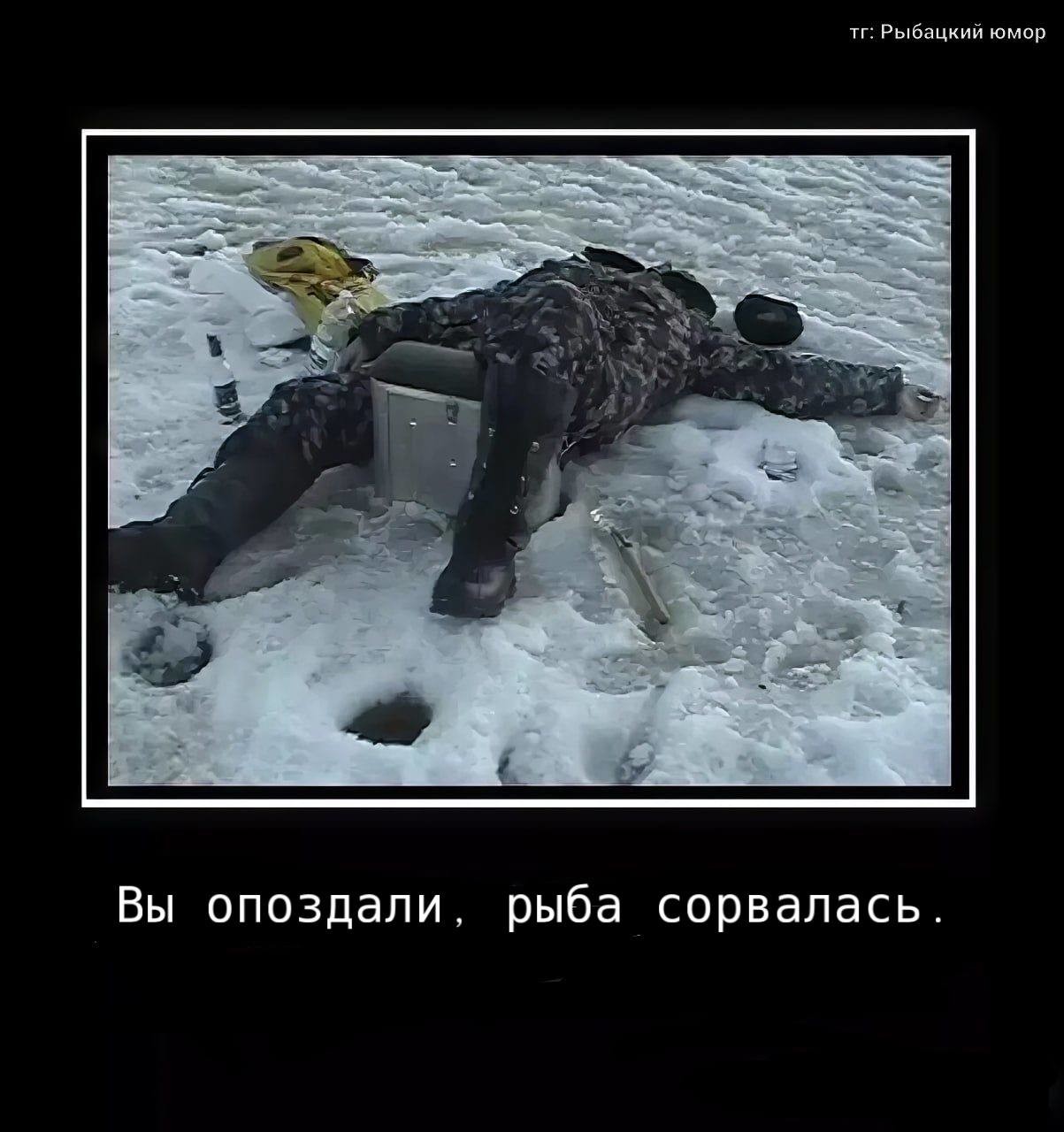 ���������� #2333218