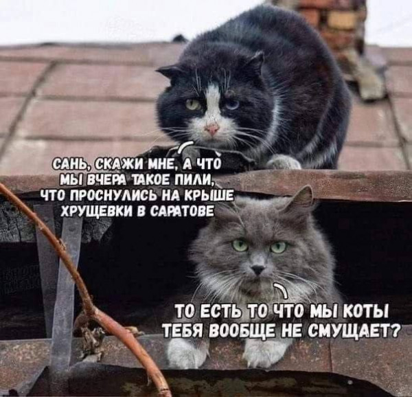 ���������� #2333621