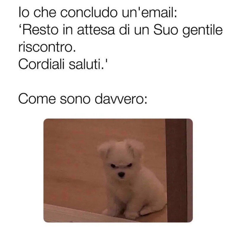 ���������� #2334053