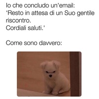 ���������� #2334053