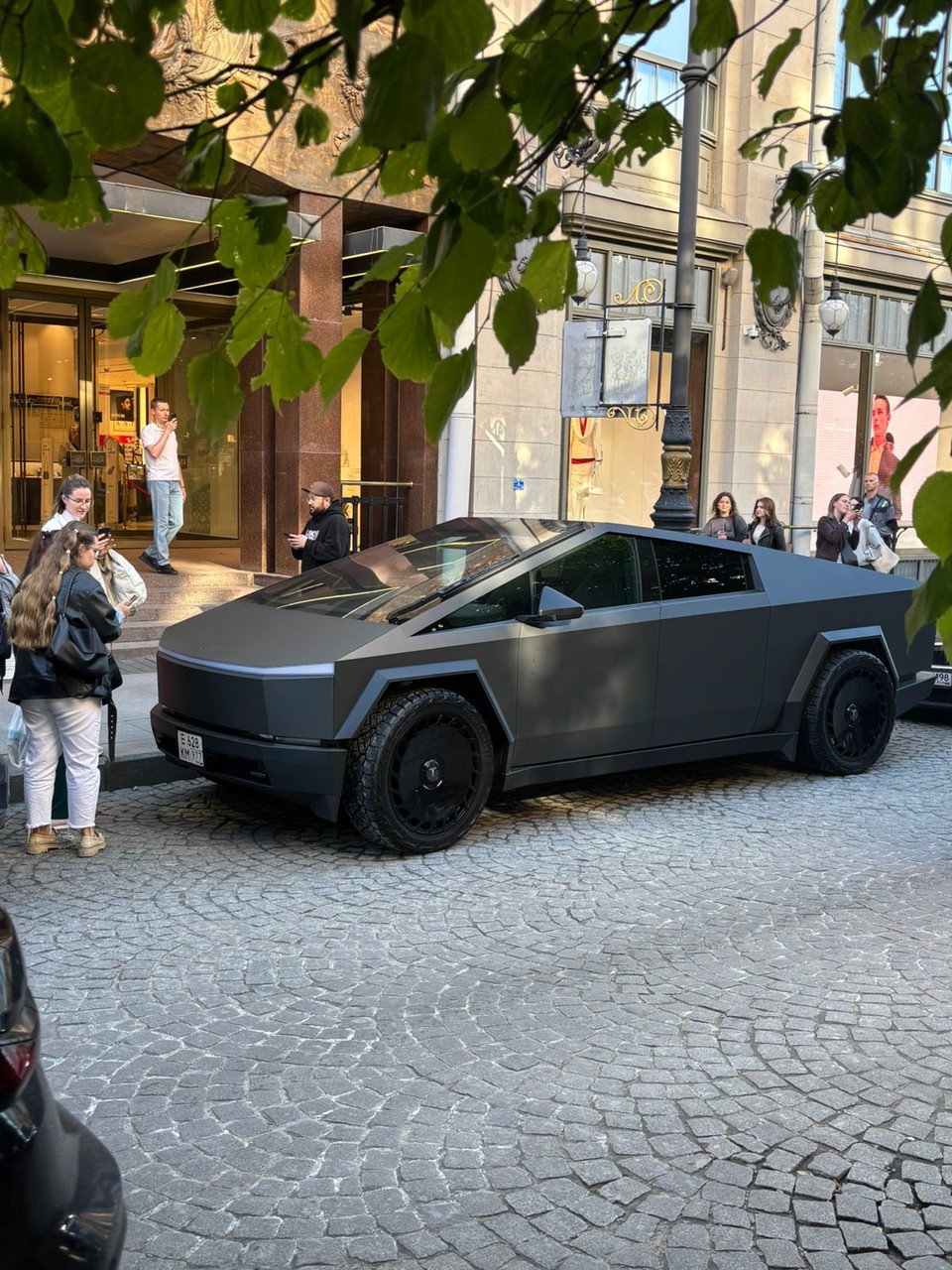 ���������� #2334670