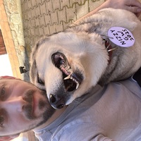 ���������� #2334726