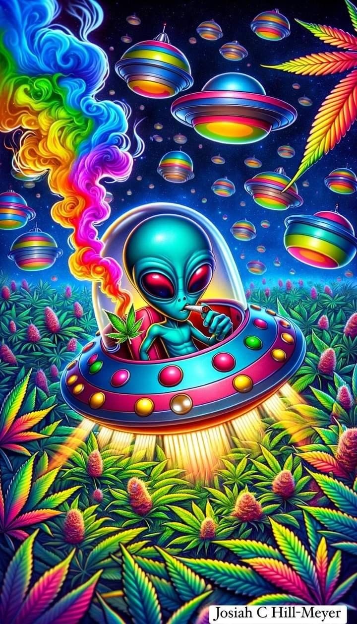 ���������� #2335053