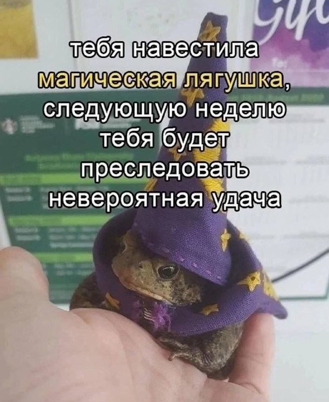 ���������� #2335086