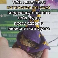 ���������� #2335086