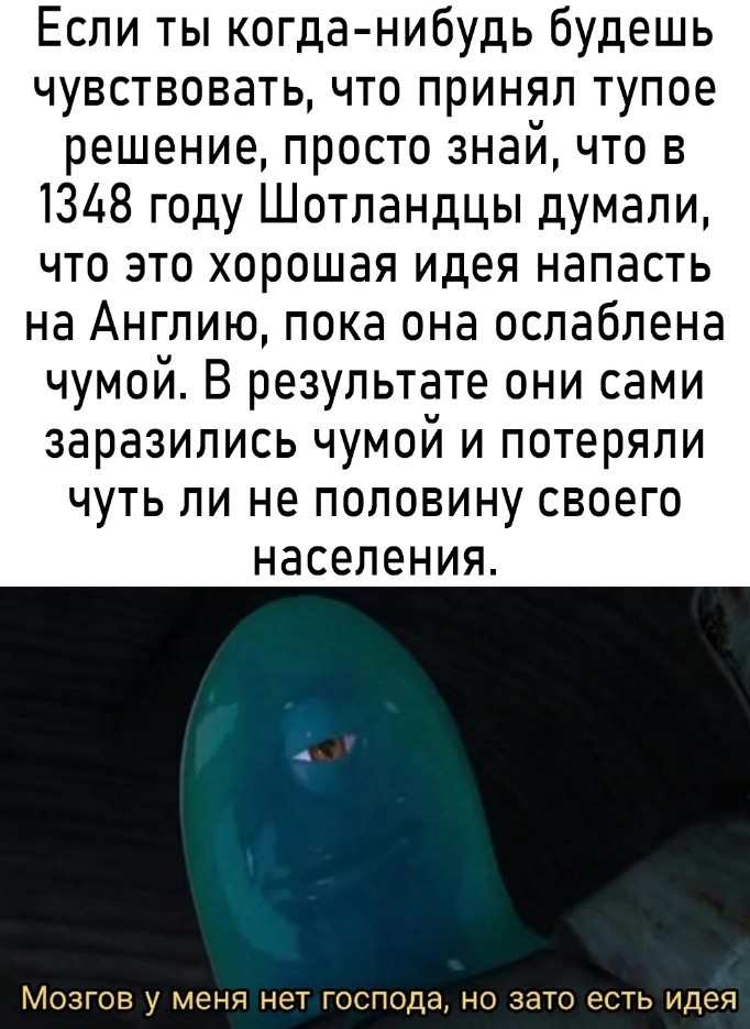 ���������� #2335132