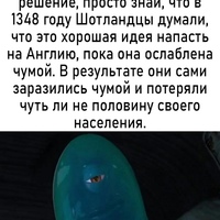 ���������� #2335132