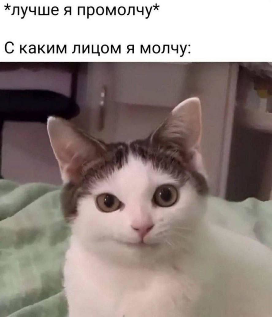 ���������� #2335189