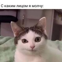 ���������� #2335189
