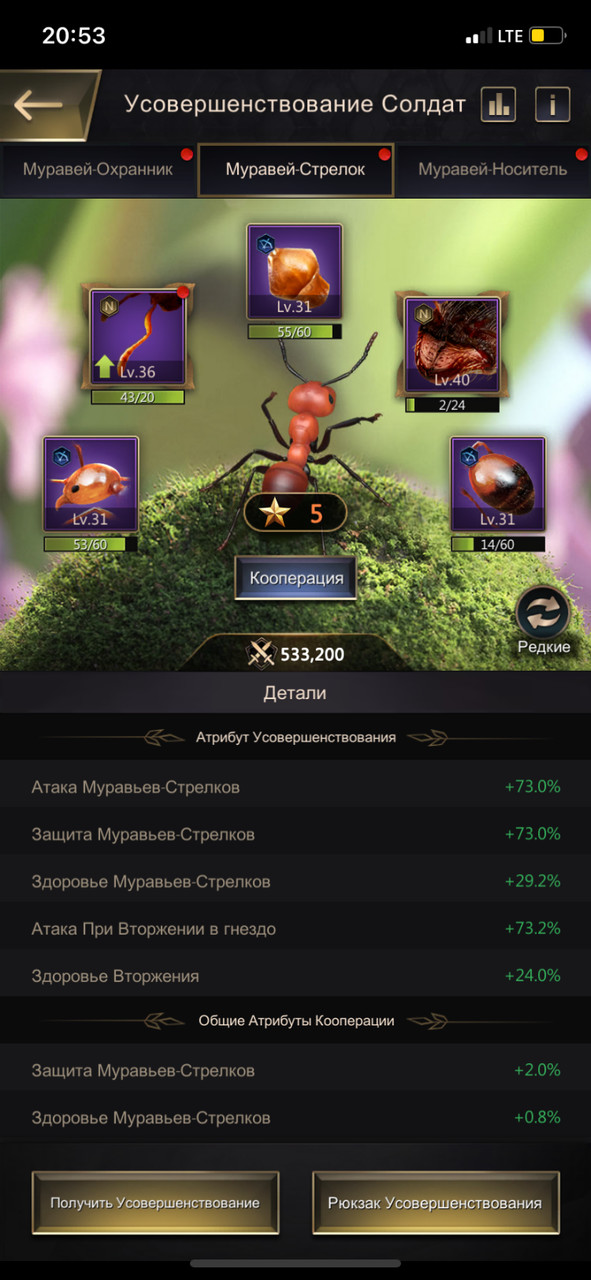 ������ 40 �������