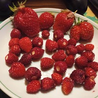 om nom nom =)