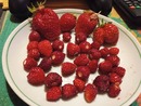 om nom nom =)