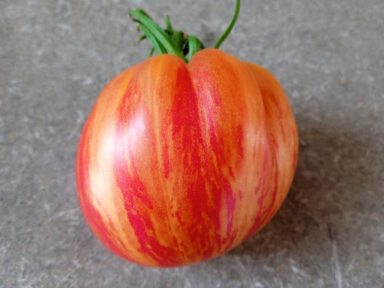 Tiger Tomato =)