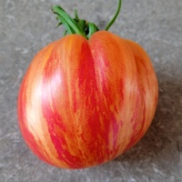 Tiger Tomato =)