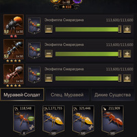 ����� 49 ��.