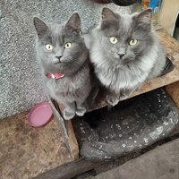 ������ � ���� ���� -������  ���� � �����