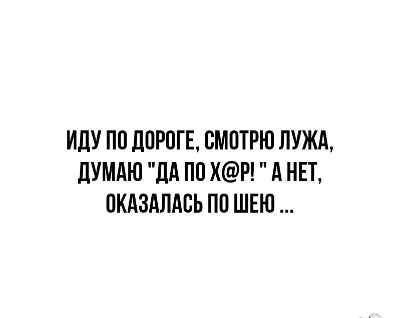 ���������� #2336428