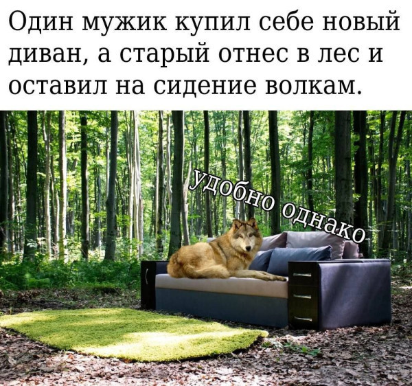 ���������� #2336456