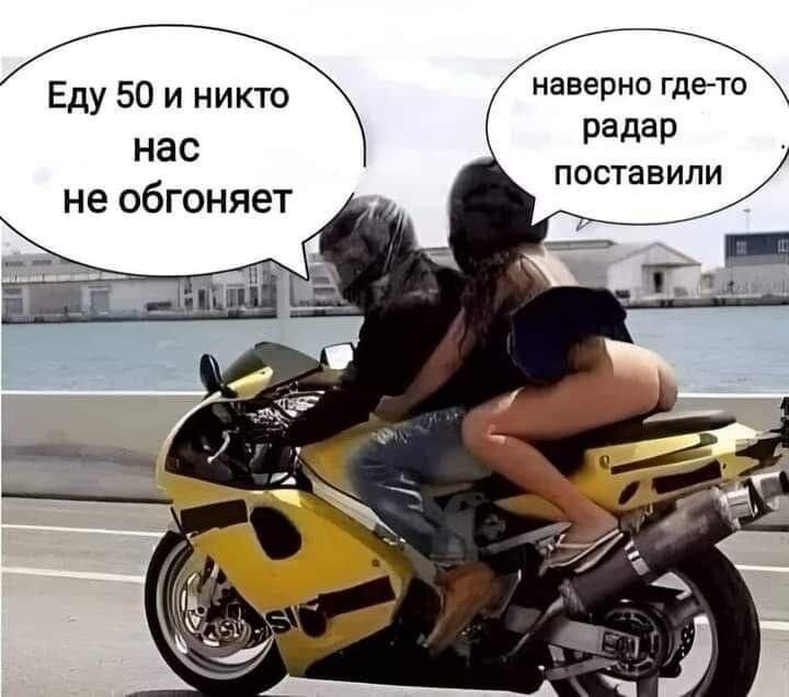���������� #2336643