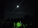 Moonlight=)
