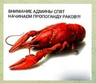 ���������� #2336722