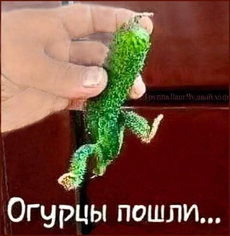 ���������� #2336972