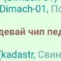 ���������� #2337016
