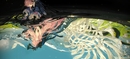 Nautika and her reflection of true form =)