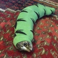 ���������� #2337137