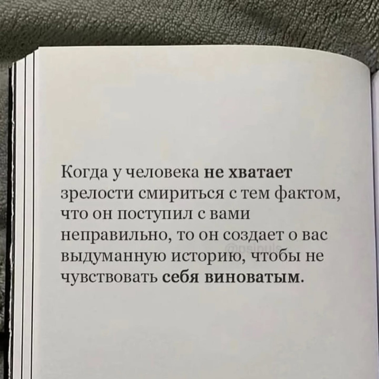 ���������� #2337221