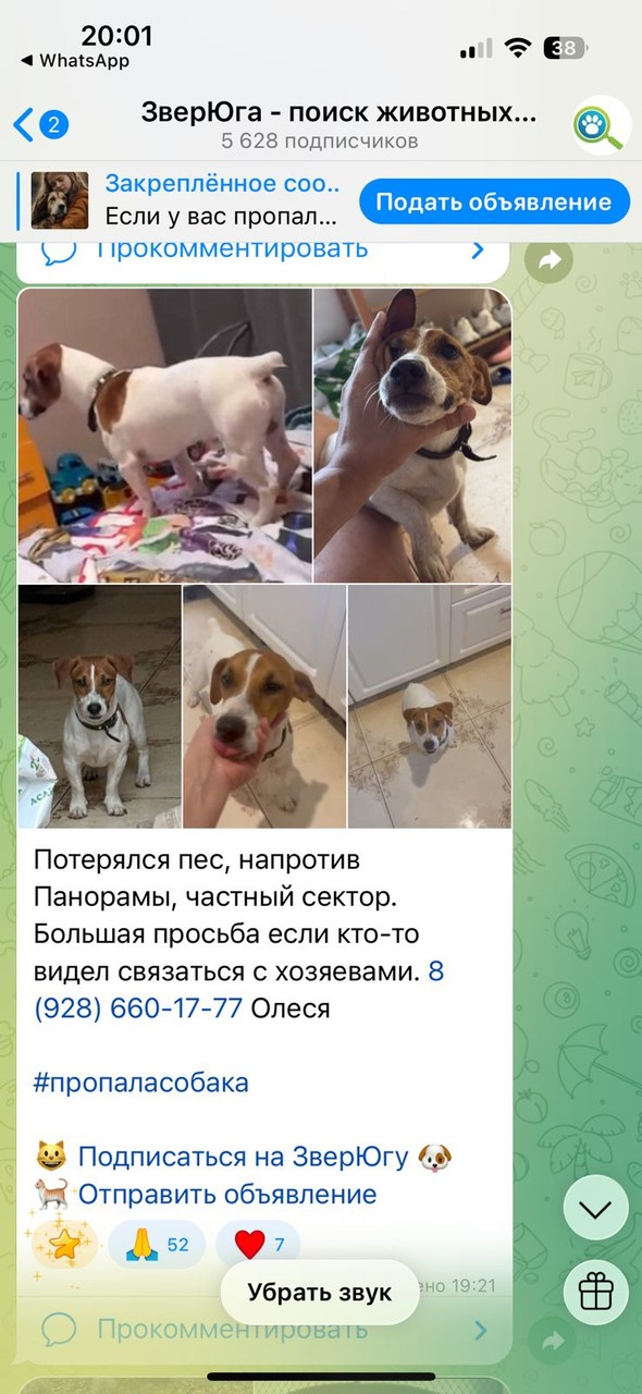 ���������� #2337576