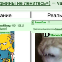 ���������� #2337616