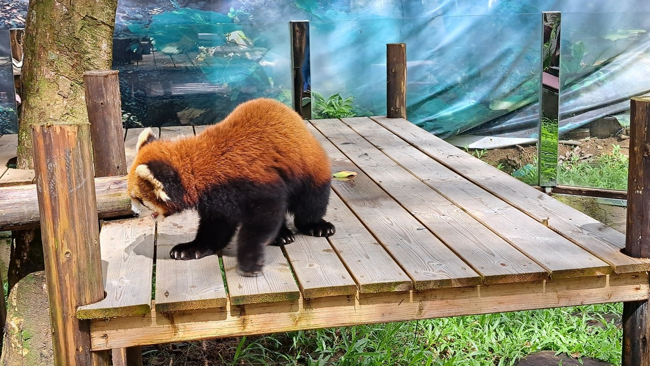 �����
