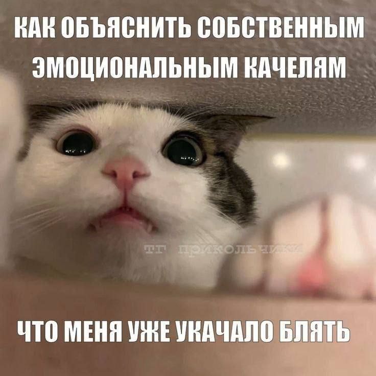 ���������� #2337901