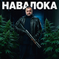 https://limewire.com/d/eAHaa#SUBawzivlG