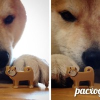 ���������� #2338028