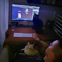 ���������� #2338172