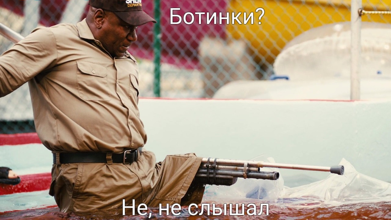 ���������� #2338186