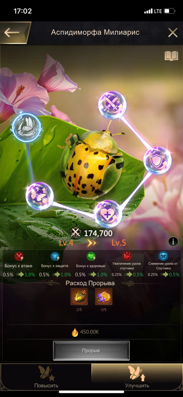 ����� ��������