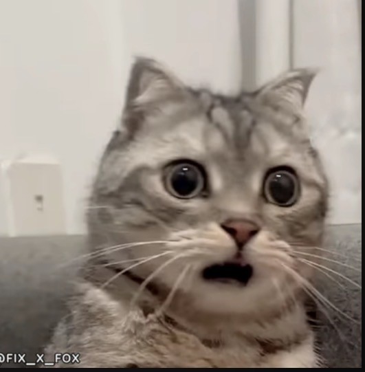 � �� ������ �� �������